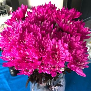 Meet your Posher, Litsa